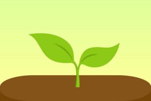 专注森林(Forest)——帮助你戒除手机成瘾的换习惯！