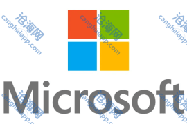 每周至少到办公室四天，微软 AI 部门 CEO 苏莱曼推行严格线下办公政策