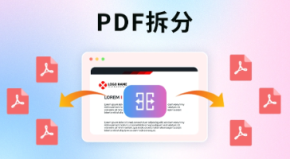 PDF文件分割 PDF Splitter Pro 6.1.0.8254 中文直装破解版